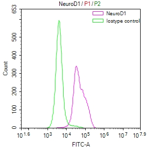 Overlay Peak curve showing SH-SY5Y cells stained with CSB-RA982003A0HU (red line) at 1:50. The cells were fixed in 4% formaldehyde and permeated by 0.2% TritonX-100. Then 10% normal goat serum to block non-specific protein-protein interactions followed by the antibody (1microg/1*106cells) for 45min at 4°C. The secondary antibody used was FITC-conjugated Goat Anti-rabbit IgG(H+L) at 1:200 dilution for 35min at 4°C.Control antibody (green line) was rabbit IgG (1microg/1*106cells) used under the same conditions. Acquisition of >10,000 events was performed.