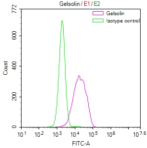 Overlay Peak curve showing HepG2 cells stained with CSB-RA986776A0HU (red line) at 1:50. The cells were fixed in 4% formaldehyde and permeated by 0.2% TritonX-100. Then 10% normal goat serum to block non-specific protein-protein interactions followed by the antibody (1microg/1*106cells) for 45min at 4°C. The secondary antibody used was FITC-conjugated Goat Anti-rabbit IgG(H+L) at 1:200 dilution for 35min at 4°C.Control antibody (green line) was rabbit IgG (1microg/1*106cells) used under the same conditions. Acquisition of >10,000 events was performed.