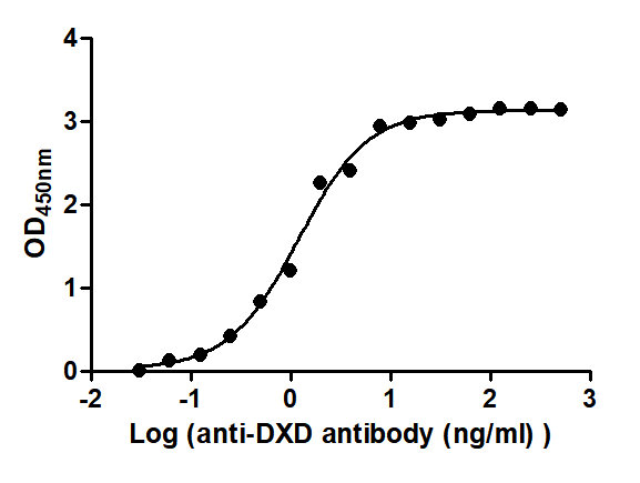 The Binding Activity of T-DXd(DS-8201) with Anti-DXD antibody Activity: Measured by its binding ability in a functional ELISA. Immobilized T-DXd(DS-8201) at 2 microg/mL can bind Anti-DXD antibody, the EC50 is 0.9828 to 1.446 ng/mL.