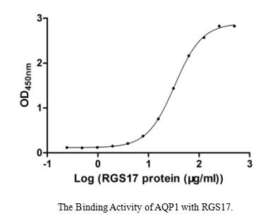 Recombinant Human Aquaporin 1 Aqp1 2 269aa Active