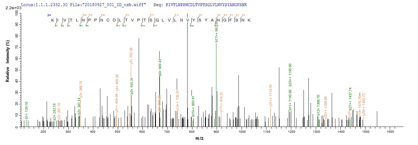 Based on the SEQUEST from database of E.coli host and target protein, the LC-MS/MS Analysis result of CSB-EP322784PJL could indicate that this peptide derived from E.coli-expressed