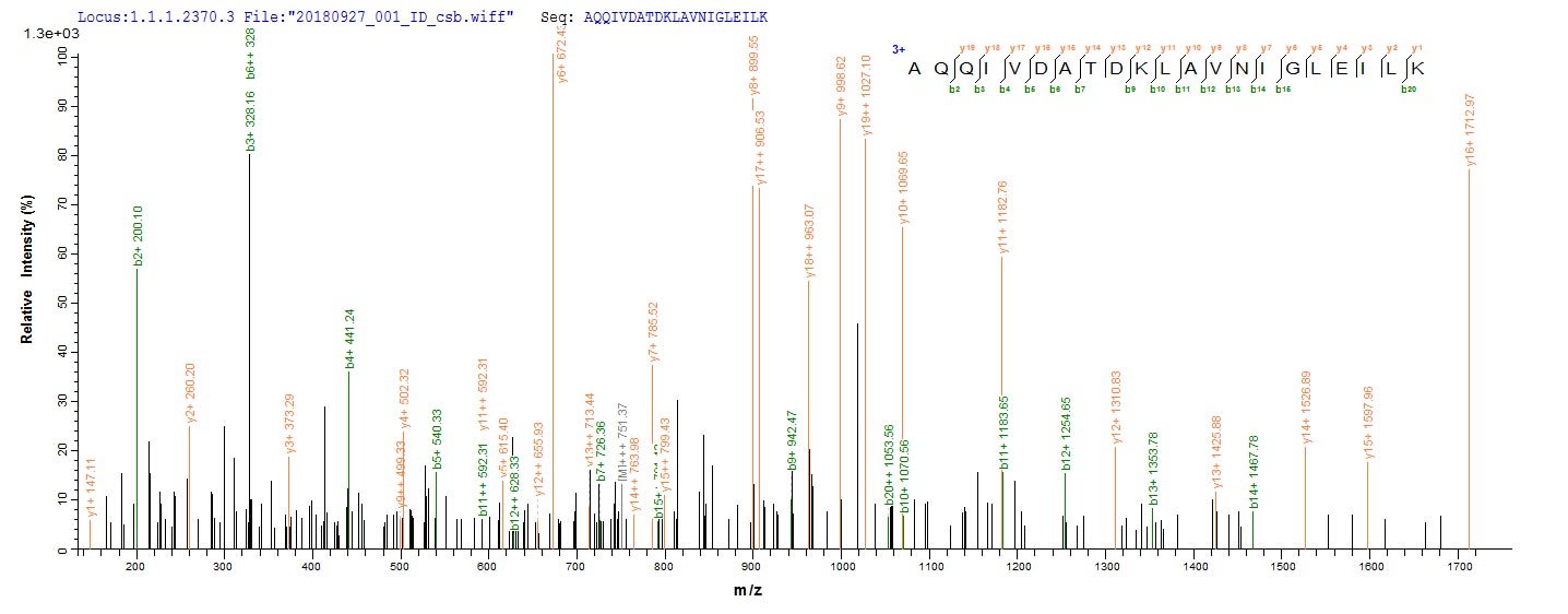 Based on the SEQUEST from database of E.coli host and target protein, the LC-MS/MS Analysis result of CSB-EP359086ENV could indicate that this peptide derived from E.coli-expressed Escherichia coli (strain K12) talB.