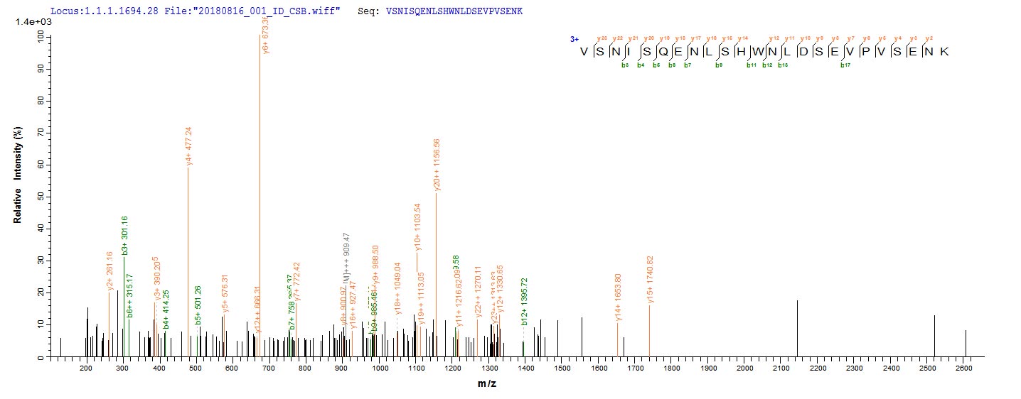 Based on the SEQUEST from database of E.coli host and target protein, the LC-MS/MS Analysis result of CSB-EP809009HU could indicate that this peptide derived from E.coli-expressed