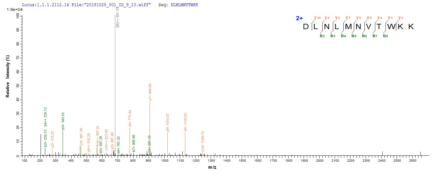 Based on the SEQUEST from database of E.coli host and target protein, the LC-MS/MS Analysis result of CSB-CF007631MO could indicate that this peptide derived from E.coli-expressed Mus musculus (Mouse) Emb.