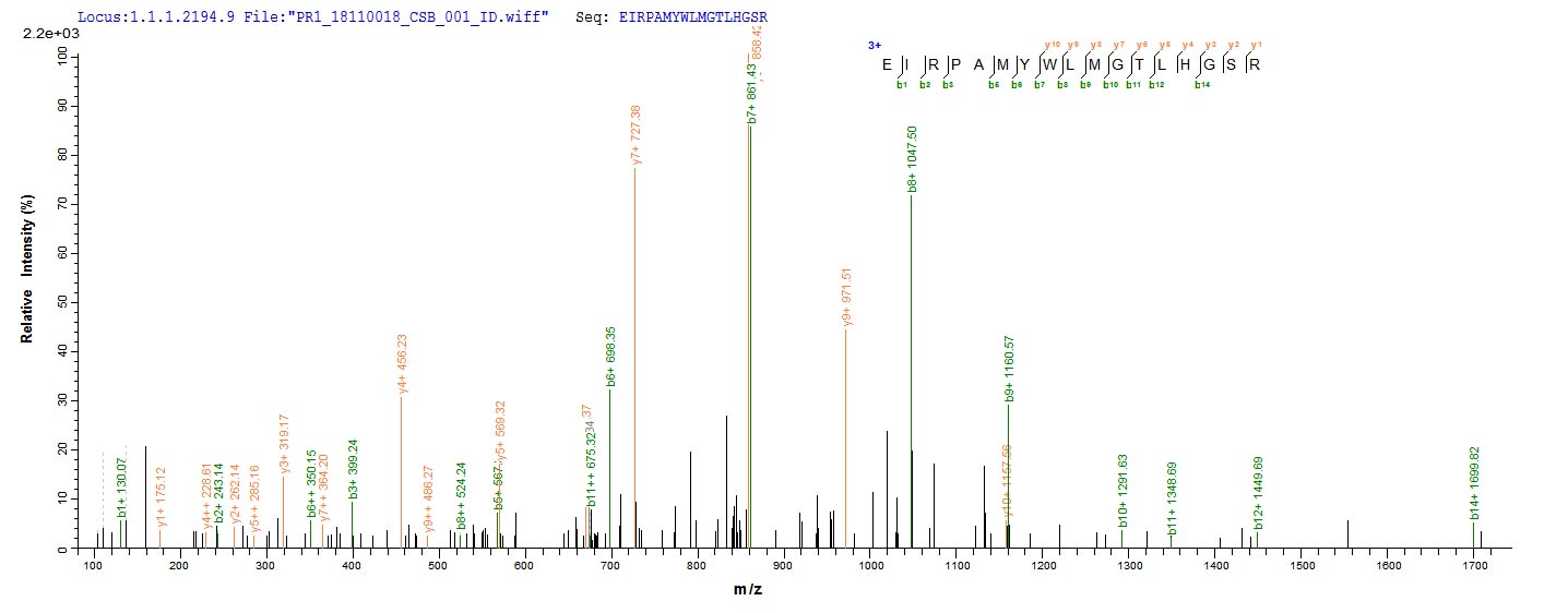 Based on the SEQUEST from database of E.coli host and target protein, the LC-MS/MS Analysis result of CSB-CF532244HTL(A4) could indicate that this peptide derived from E.coli-expressed Halobacterium salinarum (strain ATCC 29341 / DSM 671 / R1) btuC.