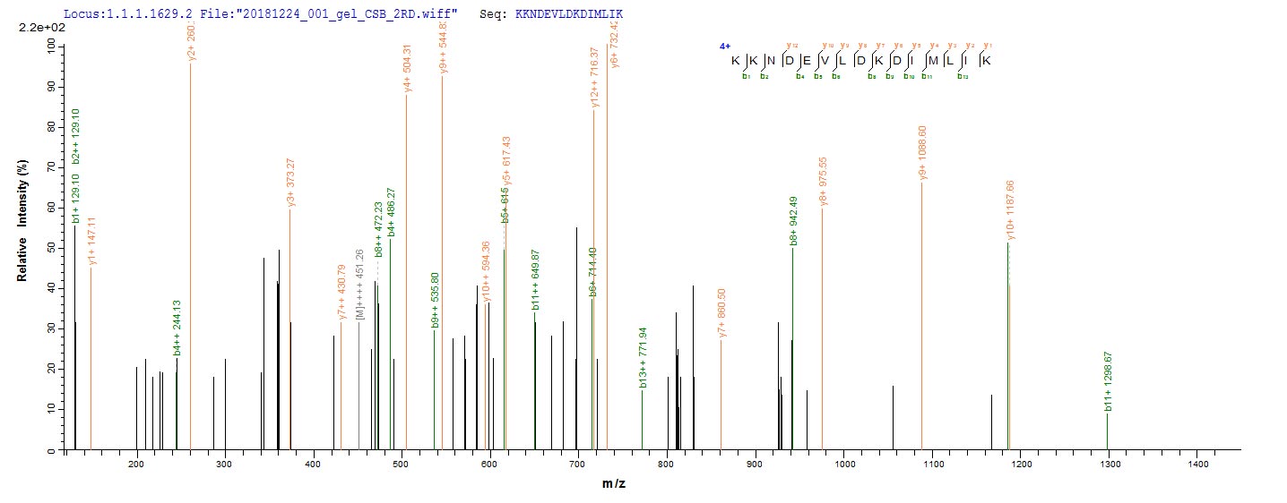 Based on the SEQUEST from database of E.coli host and target protein, the LC-MS/MS Analysis result of CSB-EP356569EZB could indicate that this peptide derived from E.coli-expressed Protobothrops flavoviridis (Habu) (Trimeresurus flavoviridis) TLF1.