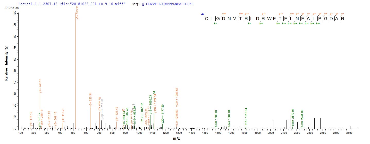 Based on the SEQUEST from database of E.coli host and target protein, the LC-MS/MS Analysis result of CSB-EP358390KBG could indicate that this peptide derived from E.coli-expressed Klebsiella pneumoniae bla.