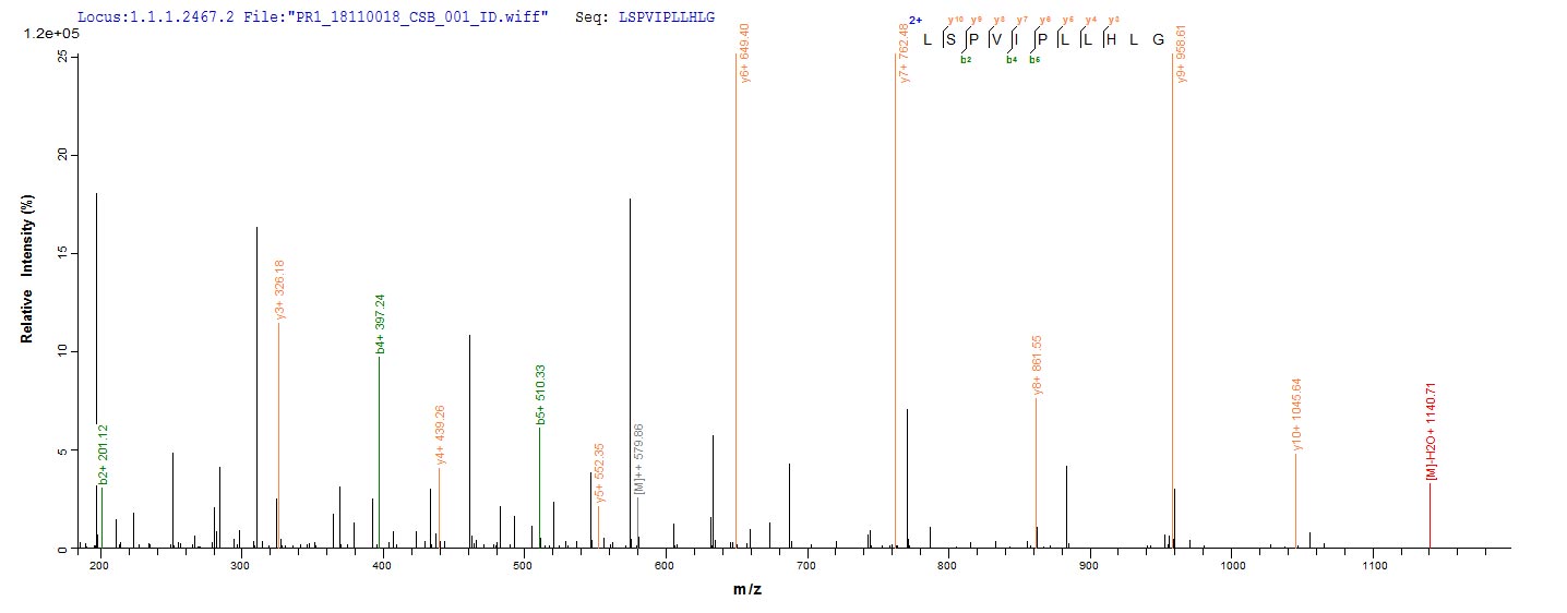 Based on the SEQUEST from database of Yeast host and target protein, the LC-MS/MS Analysis result of CSB-YP345751BOa4 could indicate that this peptide derived from Yeast-expressed Bos taurus (Bovine) CATHL6.